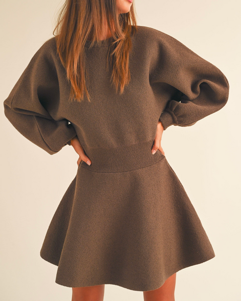 Brown Bear Sweater Dress