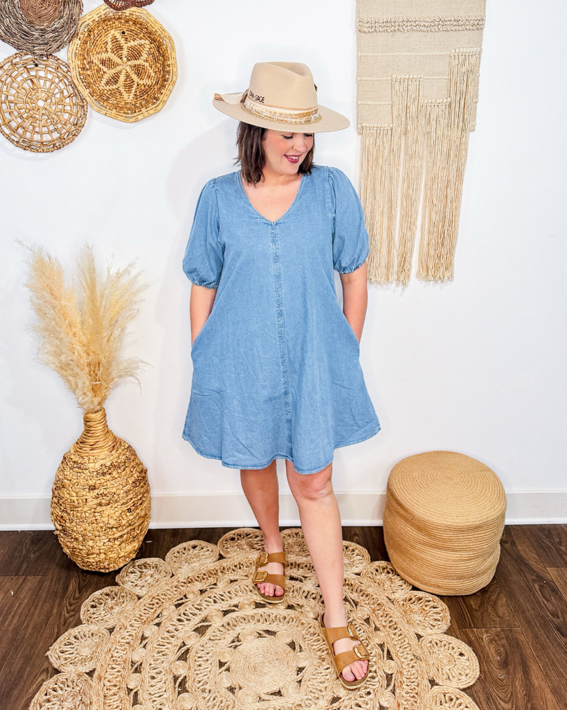 Daydream Denim Dress Large