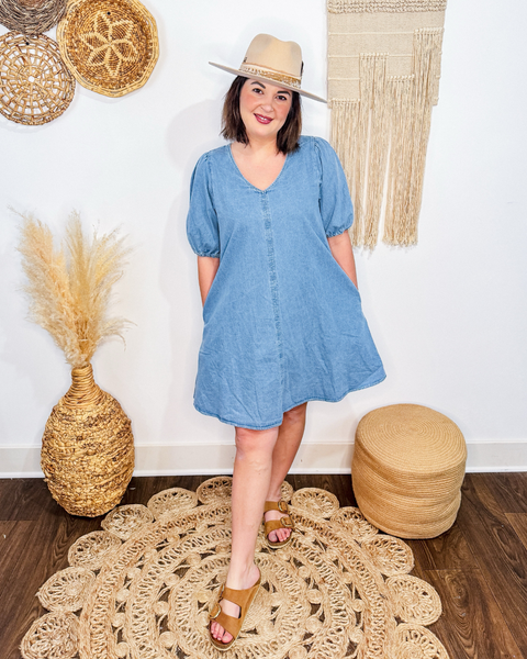 Daydream Denim Dress