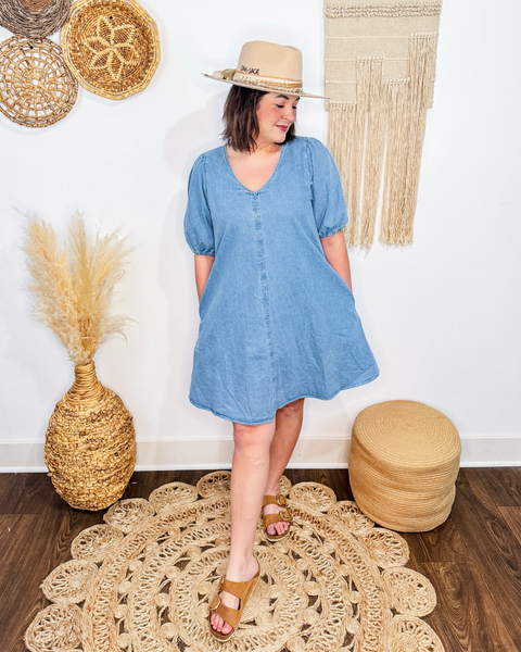 Daydream Denim Dress