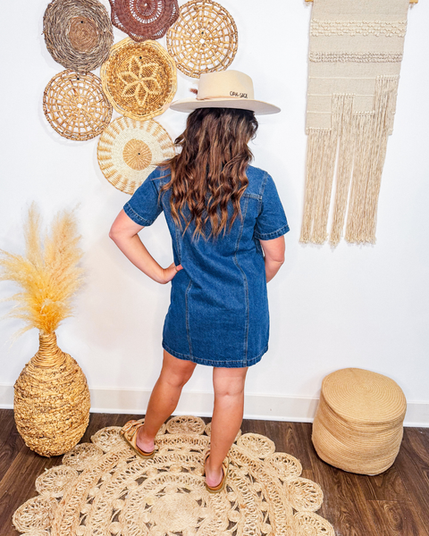 Harvest Moon Half Zip Denim Dress